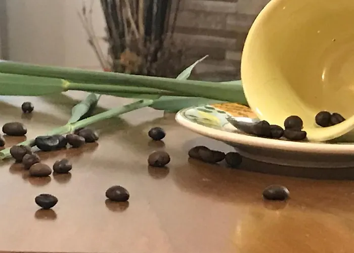 Rurale Cannevie 3* ليدو دي فولانو