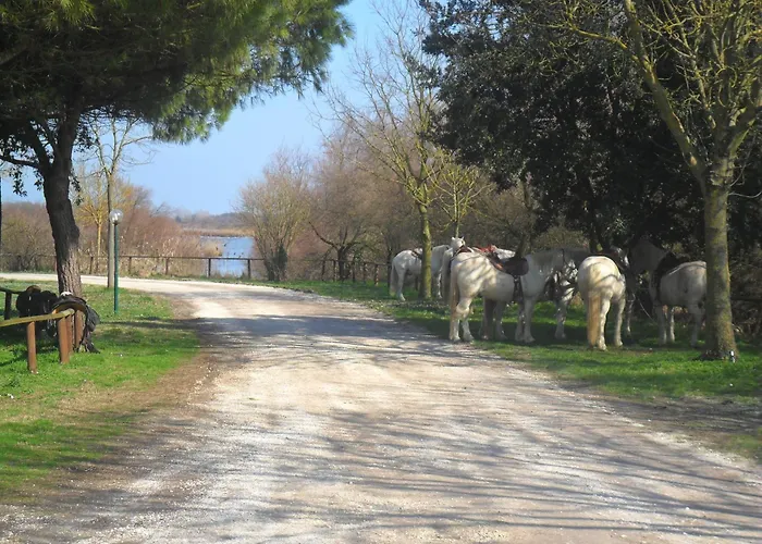 Rurale Cannevie 3* ليدو دي فولانو