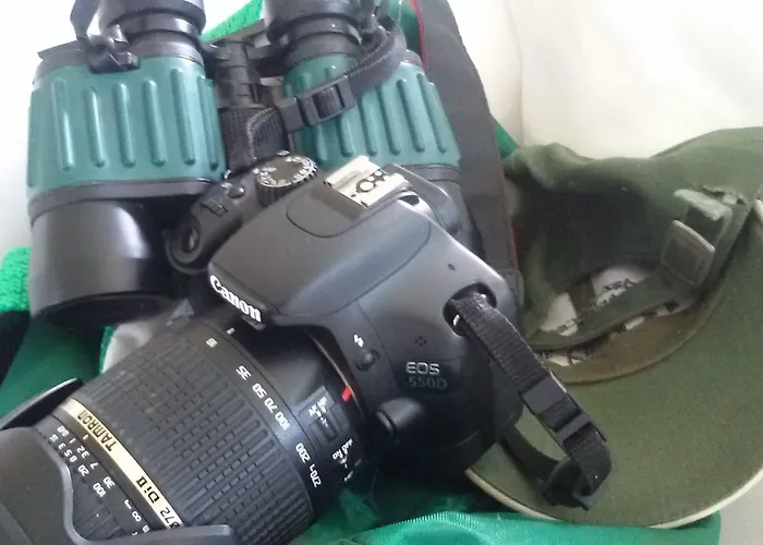 Rurale Cannevie فندق ليدو دي فولانو