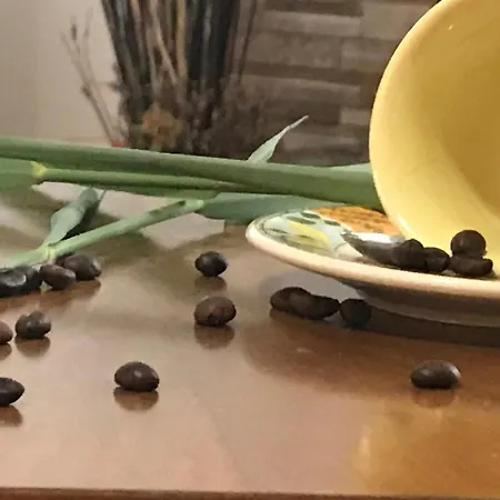 Rurale Cannevie 3* Lido di Volano