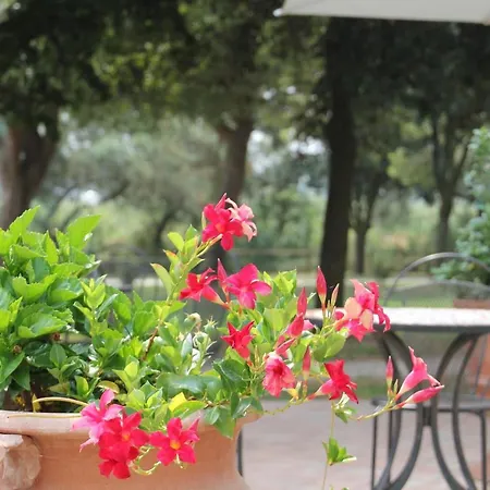 Rurale Cannevie Hotel Lido di Volano